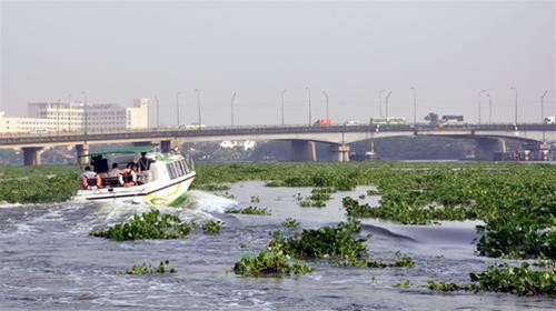 TP.HCM: thêm nhiều tuyến du keo ca cuoc nha cai đường sông