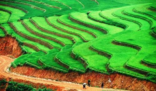 Việt Nam: một trong những điểm nên đến du keo ca cuoc nha cai nhất thế giới